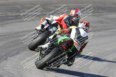 media/Feb-04-2024-SoCal Trackdays (Sun) [[91d6515b1d]]/4-Bowl Backside (11am)/